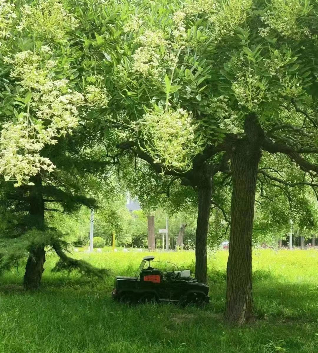 1678354463796423.jpg 1678354463796423.jpg